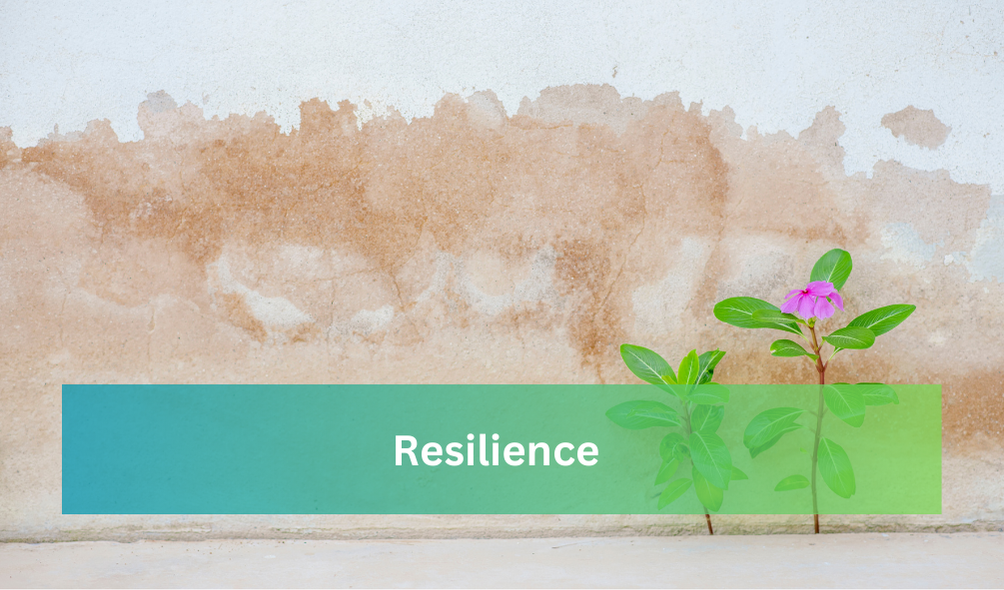 Resilience